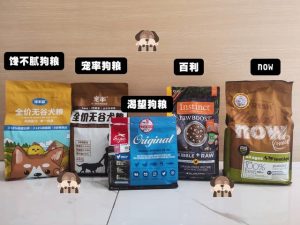 魏玛犬魏玛犬(魏玛犬是什么犬)-警犬训练器材厂家 _警犬训练用品_工作犬训练用品-南京开久警犬装备