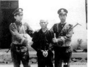 母狗般的女教师(母狗般的女教师)-警犬训练器材厂家 _警犬训练用品_工作犬训练用品-南京开久警犬装备