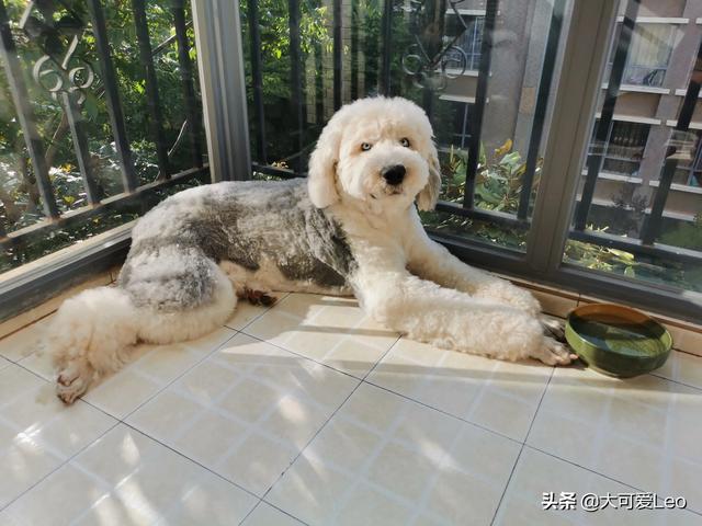 20221117170214_11012 20221117170214_11012