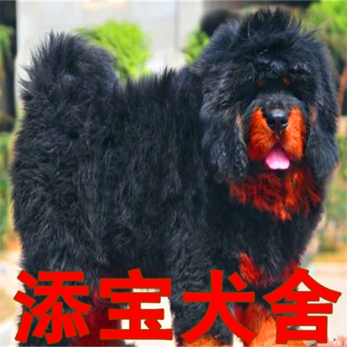 20221117171511_12656 20221117171511_12656