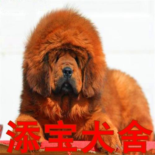 20221117171513_11848 20221117171513_11848