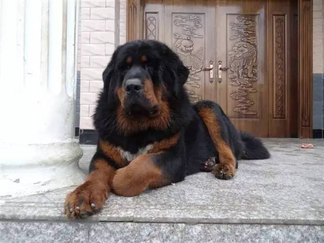 20221117171513_50358 20221117171513_50358