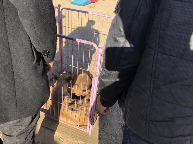 20221117172055_97301