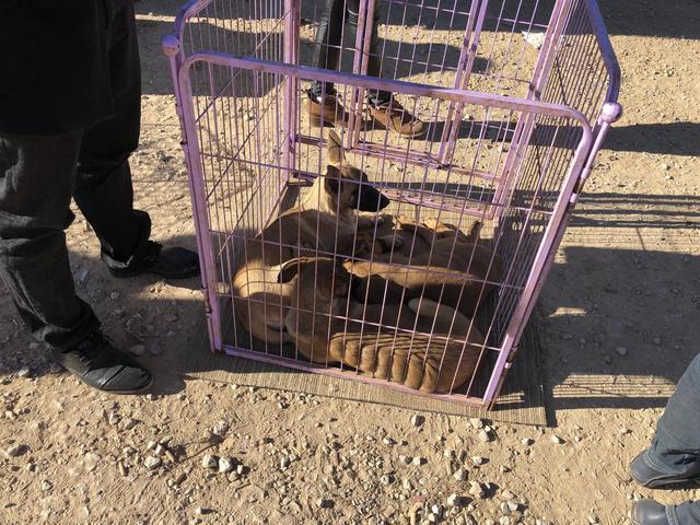 20221117172056_19298