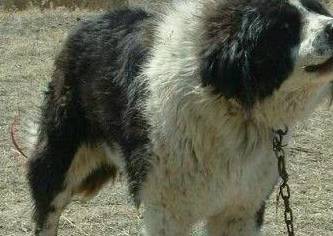 20221117173853_88776