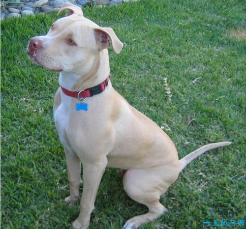 20221117174002_52030 20221117174002_52030