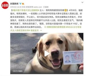 残疾人保障法对导盲犬的规定(残疾人保障法 导盲犬)-警犬训练器材厂家 _警犬训练用品_工作犬训练用品-南京开久警犬装备