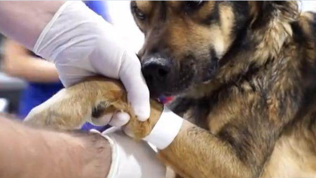 20221117175701_87078