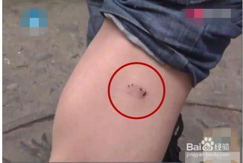 20221117175702_77988