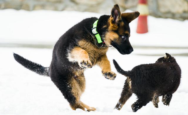 20221117175941_56698