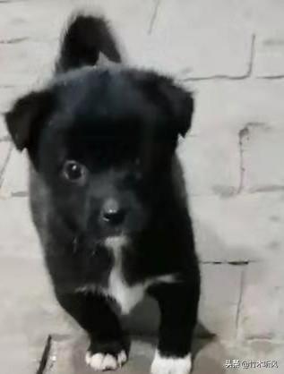 20221117180236_45513 20221117180236_45513