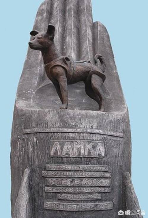 宠物狗被卡旋转门(宠物狗被卡旋转门后续) - 警犬训练器材厂家 _警犬训练用品_工作犬训练用品-南京开久警犬装备-警犬训练器材厂家 _警犬训练用品_工作犬训练用品-南京开久警犬装备