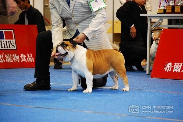 20221117182543_65472