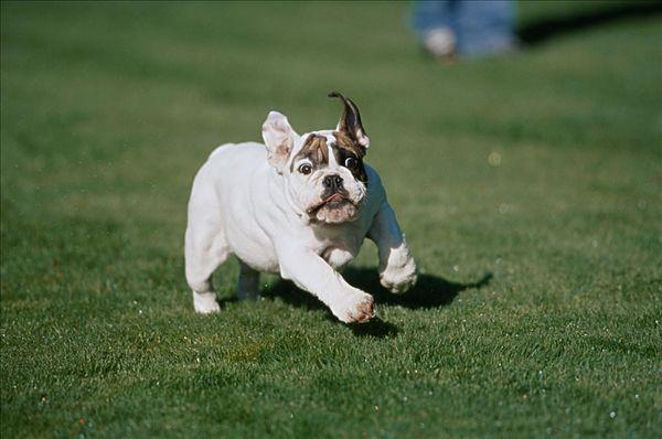 20221117182543_68731