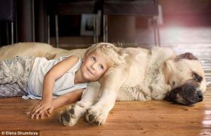 狗可以和人睡一起吗(狗可以和人睡一起吗)-警犬训练器材厂家 _警犬训练用品_工作犬训练用品-南京开久警犬装备