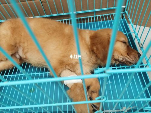 20221117184700_88248 20221117184700_88248