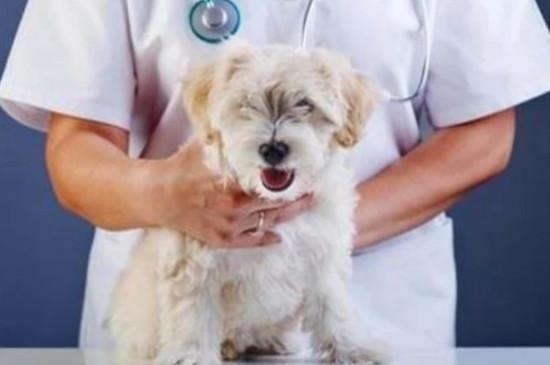 20221117184701_30406 20221117184701_30406