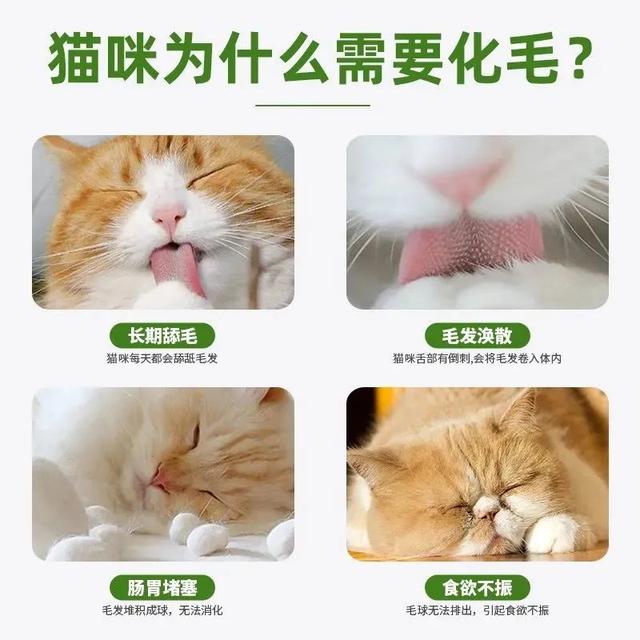 20221117185258_83713