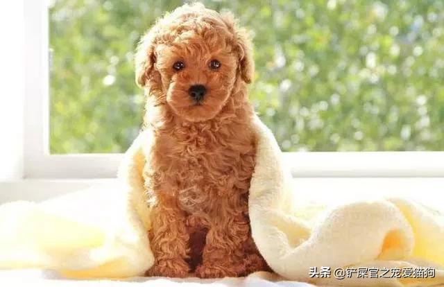 20221117185337_36694