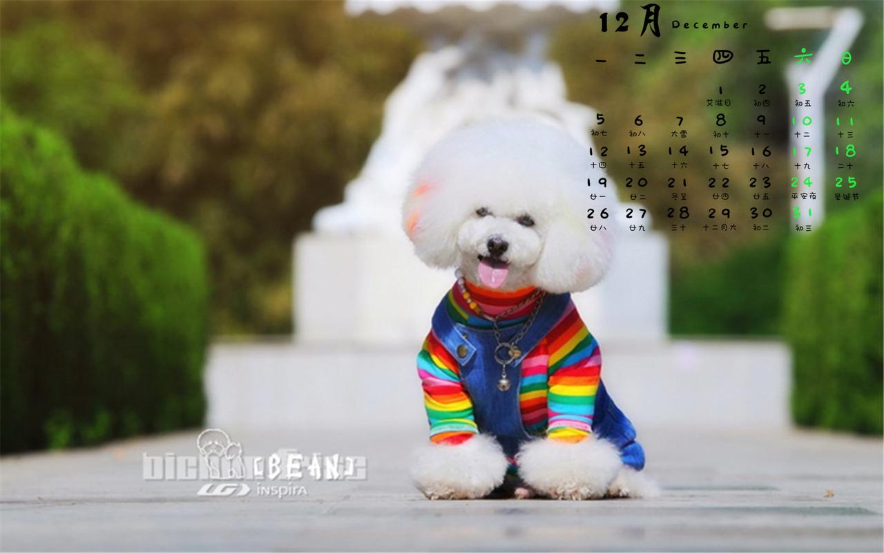 俄罗斯小熊犬萌宠 - 警犬训练器材厂家 _警犬训练用品_工作犬训练用品-南京开久警犬装备-警犬训练器材厂家 _警犬训练用品_工作犬训练用品-南京开久警犬装备