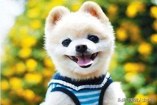 20221117190749_21257 20221117190749_21257