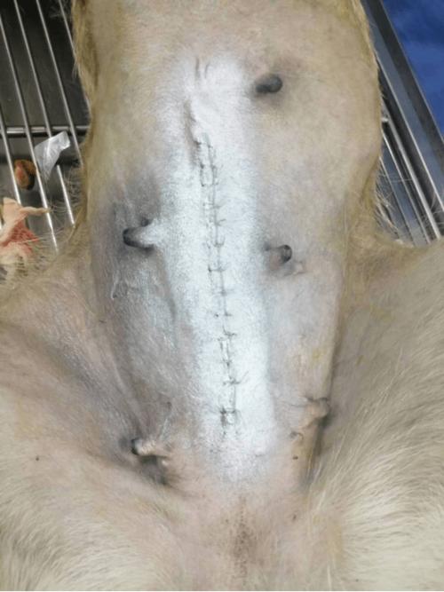 20221117190814_42149 20221117190814_42149