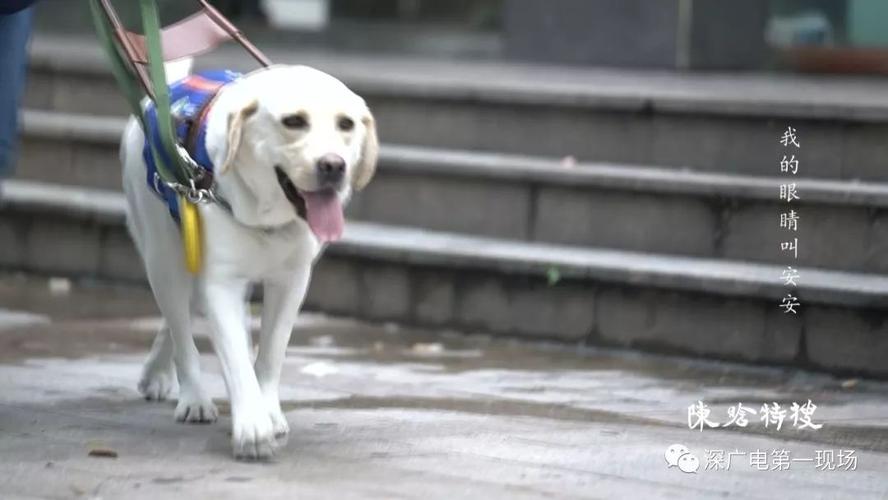 20221117200051_93877 20221117200051_93877