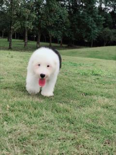 20221118090549_91213 20221118090549_91213