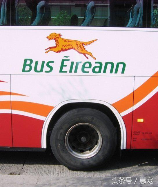 20221118100117_32511 20221118100117_32511