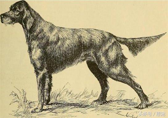 20221118100117_46884 20221118100117_46884