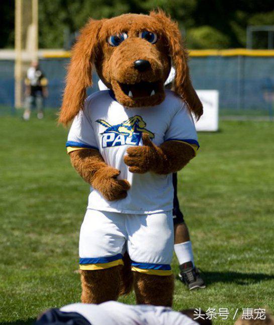 20221118100118_57345 20221118100118_57345