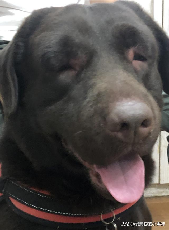 20221118100555_18077 20221118100555_18077