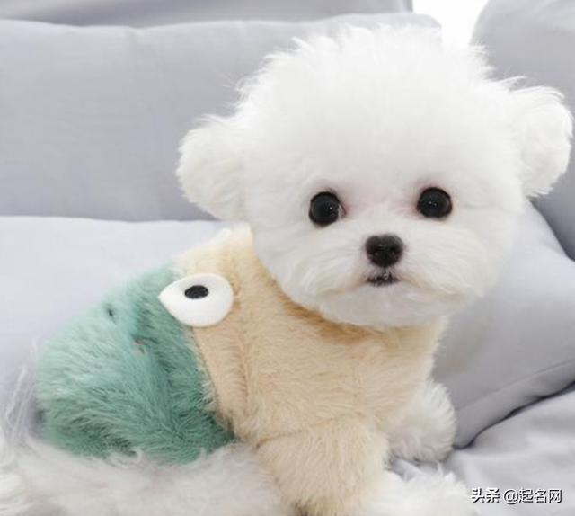 20221118101256_33054