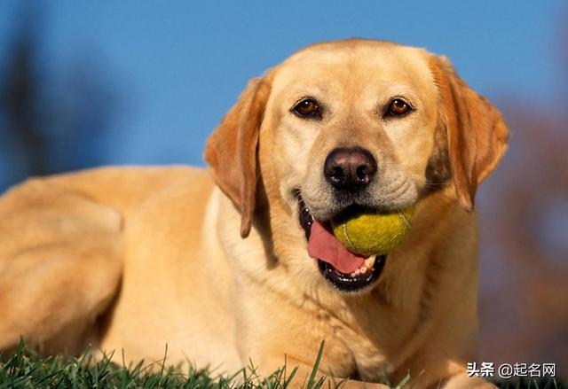 20221118101256_35646