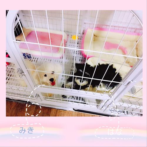 20221118103025_45855