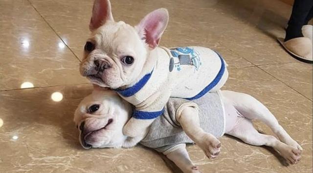 20221118103749_55468 20221118103749_55468