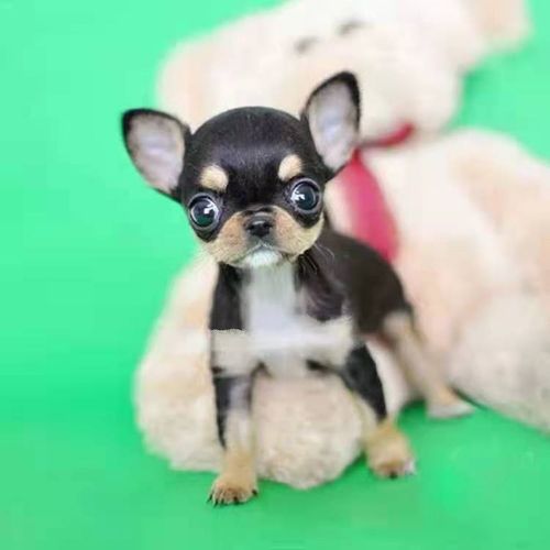 20221118104426_81538 20221118104426_81538