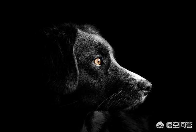 20221118105907_81137