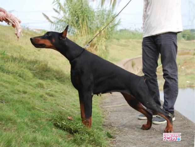 20221118110305_77057