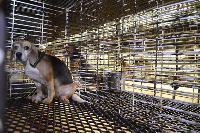 20221118112126_28843