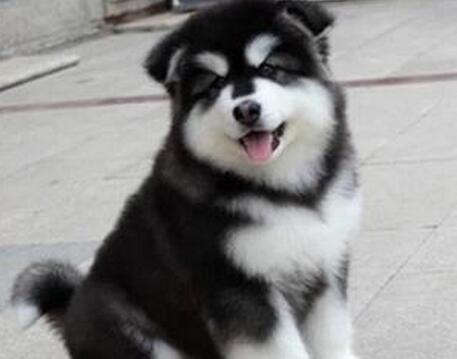 20221118113712_64446