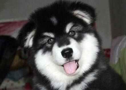 20221118113712_68277