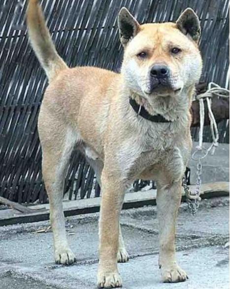 20221118114001_83897