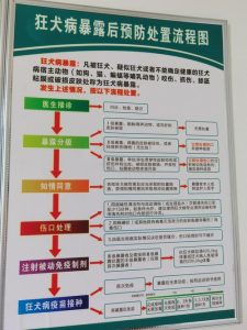 犬只收容处置中心处置流程-警犬训练器材厂家 _警犬训练用品_工作犬训练用品-南京开久警犬装备