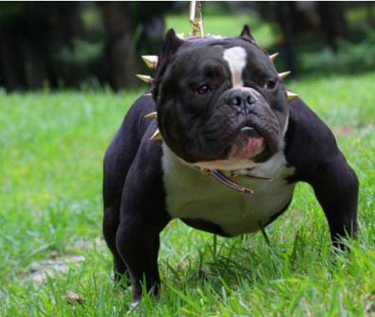 20221118115026_44874 20221118115026_44874