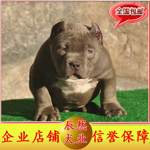 20221118115027_20639 20221118115027_20639