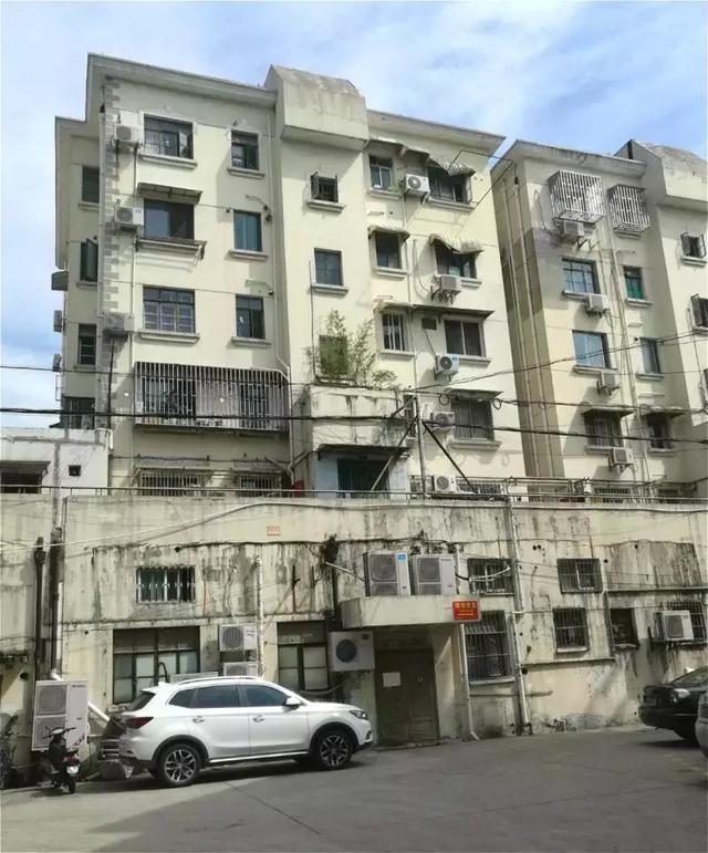 青岛宠物犬业(青岛宠物犬信息查询) - 警犬训练器材厂家 _警犬训练用品_工作犬训练用品-南京开久警犬装备-警犬训练器材厂家 _警犬训练用品_工作犬训练用品-南京开久警犬装备