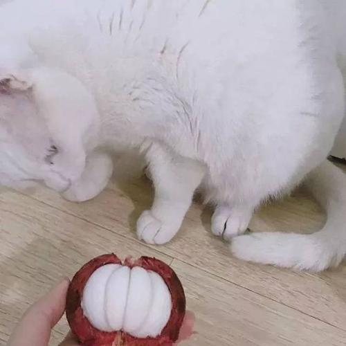 20221118121809_74615