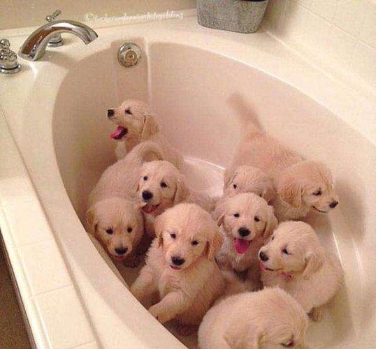 20221118122136_12400 20221118122136_12400