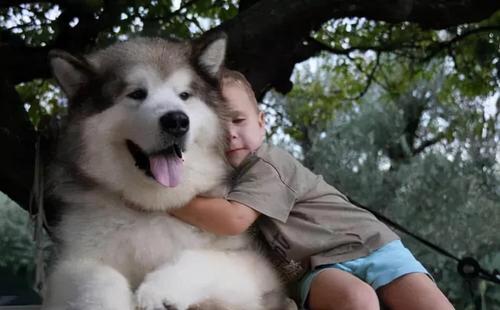 20221118122136_25859 20221118122136_25859